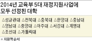 교육부 5대 재정지원사업…성균관·한양·중앙 등 12개大 '5관왕'