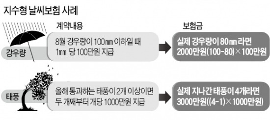 "두 번째 태풍부터 보험금 천만원"