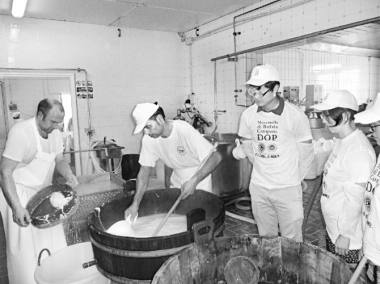 지우개팀 학생들이 이탈리아 나폴리에서 치즈 제조과정을 견학하고 있다. 정태웅 기자