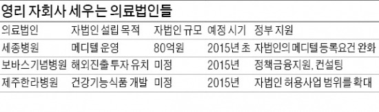 [의료서비스산업 활성화] '메디텔' 설립 허용, 외국인환자 유치 확대