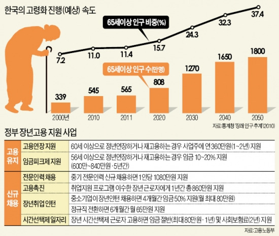 18일 서울 망우동 동원초교에서 열린 ‘실버 정보화 교육’에 참가한 노인들이 컴퓨터 사용법을 배우고 있다.  강은구 기자  ♣♣egkang@hankyung.com♣♣   