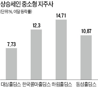 다시 내달리는 중소형 지주사