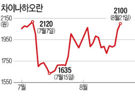 중국고섬이 부른 中 기업 불신…차이나하오란 "유상증자로 씻겠다"