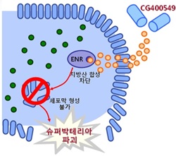 '슈퍼박테리아' 잡는 '슈퍼항생제', 코스닥 4사 개발 경쟁