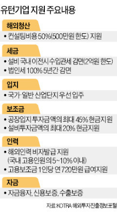 "국내 정착 어려워 U턴 후회하기도"