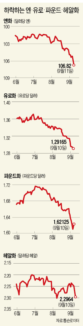 [요동치는 글로벌 금융시장] 美 - EU·日 엇갈린 통화정책…신흥국, 환율 요동에 '멀미'