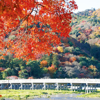붉게 물든 교토의 아라시야마와 목조 다리 도게쓰교.  일본정부관광청 제공
