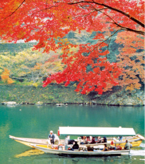교토 아라시야마의 호즈강에서는 뱃놀이를 하며 단풍을 볼 수 있다. 