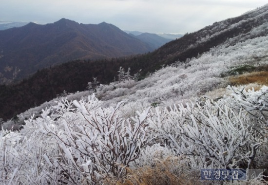 /설악산 상고대 =국립공원설악산관리공단 제공