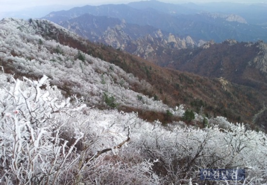 /설악산 상고대=국립공원설악산관리공단 제공