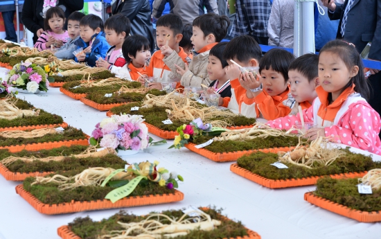 대한민국 인삼축제 2014, 인삼 신기해요~!!