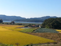 [한경매물마당]서산시 바다 조망 농장 부지 3.3㎡당 3만원 등 16건