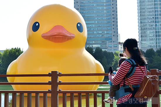 [포토] 드디어 우리나라에 도착한 '러버덕'