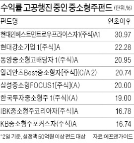 벌써…올 수익률 20% 넘는 중소형株 펀드 수두룩