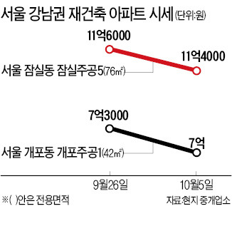 강남 재건축 너무 많이 올랐나…개포주공 1주일 새 3천만원 '뚝'