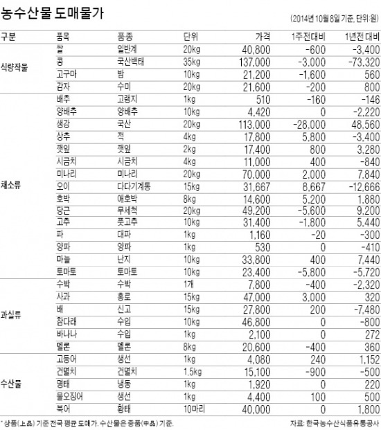 [농수산물 시세] 토마토 값 1년새 40% 하락