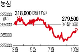 농심, "라면시장 점유율 하락 지속" vs "中 유통망 확충…성장 기대"