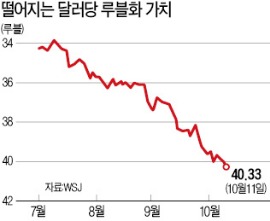 러, 루블화 폭락에 '달러 사재기'