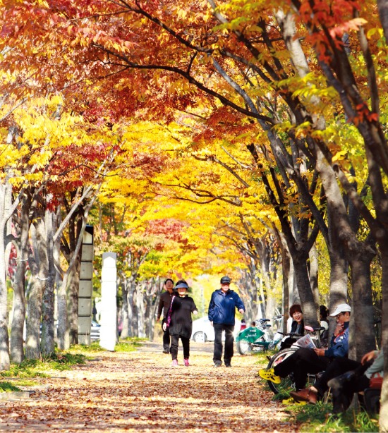 年 400만원까지 13.2% 세액공제 혜택…수령 때까지 세금 유예…복리효과는 덤