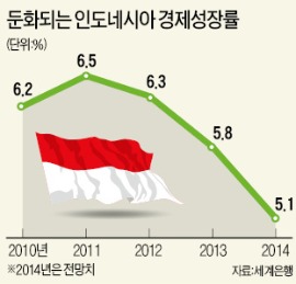 5년來 최악 성장 인도네시아…시험대 오른 '조코노믹스'