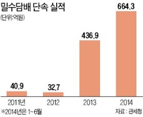 담배 밀수 급증…상반기만 664억