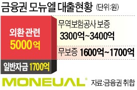 ['모뉴엘 법정관리' 일파만파] 금융권 발칵 뒤집은 '모뉴엘 쇼크'…"70조 수출금융 구멍 뚫렸다"