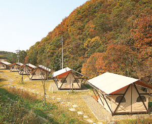 연천 고대산 캠핑리조트의 글램핑 지구. 