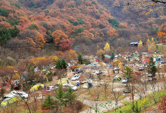 울창한 숲에 있어 자연미가 돋보이는 무주 덕유대 야영장.     한국관광공사 제공 