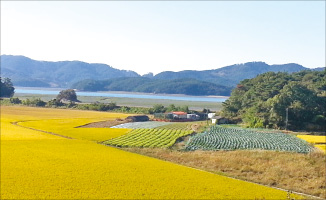 충남 태안군 바다 조망 주택지 