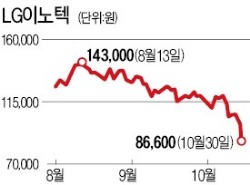 사상최대 실적에도…LG이노텍 추락