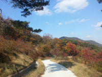 [한경매물마당] 대전 우송대학교 인근 신축원룸 등 16건