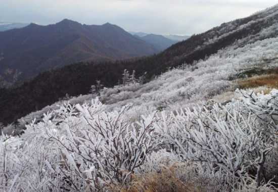 /2014년 10월 14일 설악산 상고대 관측=국립공원관리공단 설악산사무소 제공