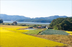 충남 서산시 바다 조망 농장 부지 