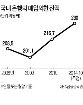 "모뉴엘 사기대출은 은행의 '몰빵 영업'이 원인"