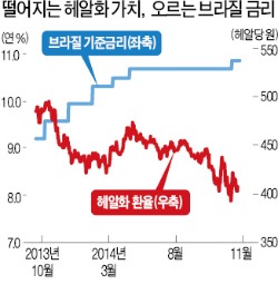 브라질 국채 투자자의 눈물