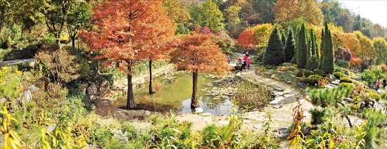 [직업과 경제의 만남] (50) '씨앗이 금보다 비싸다'는 토종식물 해설사