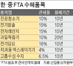 한·중 FTA 수혜 中企제품 살펴보니…전기밥솥·마사지기기 등 유망