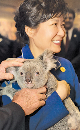 < 코알라 안고… > 박근혜 대통령이 15일 호주 브리즈번에서 열린 G20 정상회의에 앞서 코알라를 안고 기념촬영하고 있다. 호주정부 제공