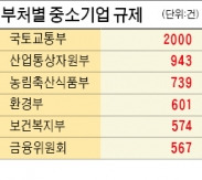 中企도 늘어나는 규제로 '신음'