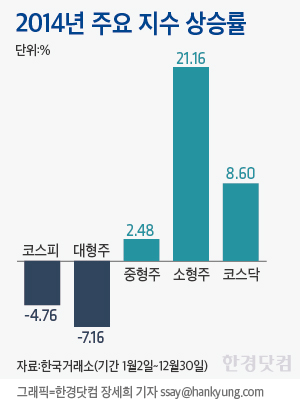 [저성장 시대, 작은 종목이 뜬다①] "청양의 해에도 '형'보다 '아우' 선전할 것"