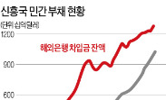 BIS "신흥국 경제 强 달러 쇼크 온다"