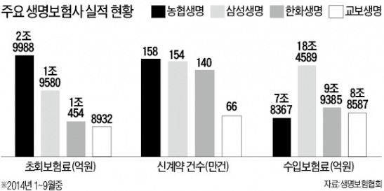 농협생명 돌풍…'빅3' 제치고 깜짝 1위