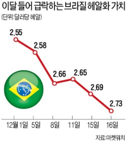 헤알·리라貨 등 신흥국 통화 급락…'안전자산' 美·日 국채에 돈 몰려