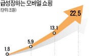 모바일쇼핑 22兆…롯데百+마트 매출 넘는다