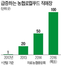 당일 수확-판매·'착한 가격'…농협 로컬푸드 직매장 급증