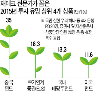 "2015, 中펀드·강남 재건축 돈 된다"