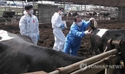 'AI·구제역 비상' 서울도 일제 방역작업 나서