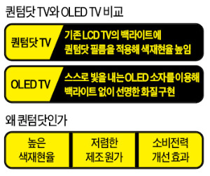 [혁신의 현장 CES를 가다] 低비용·高화질 TV 경연의 場