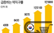 '逆직구몰' 月 1000곳씩 창업