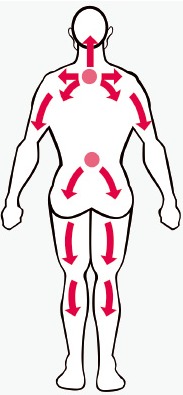 목·허리 통증 
분포도 